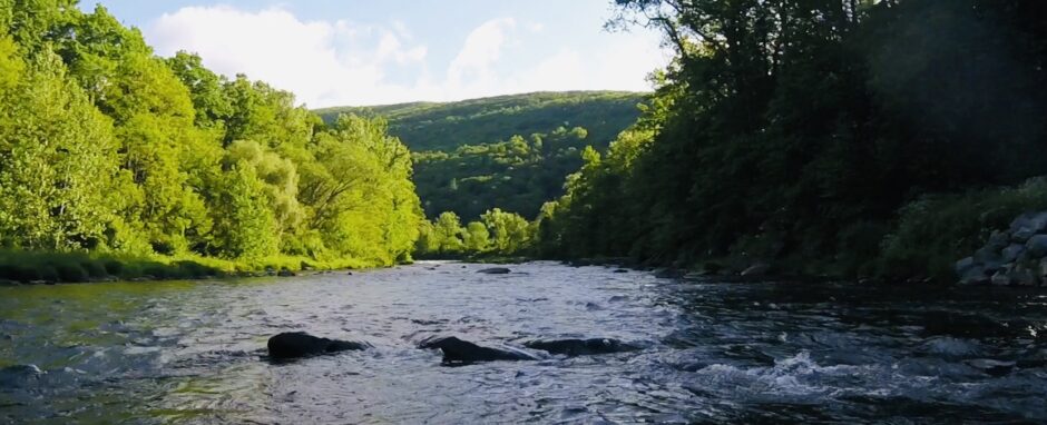 CATSKILL MOUNTAINS TROUT UNLIMITED